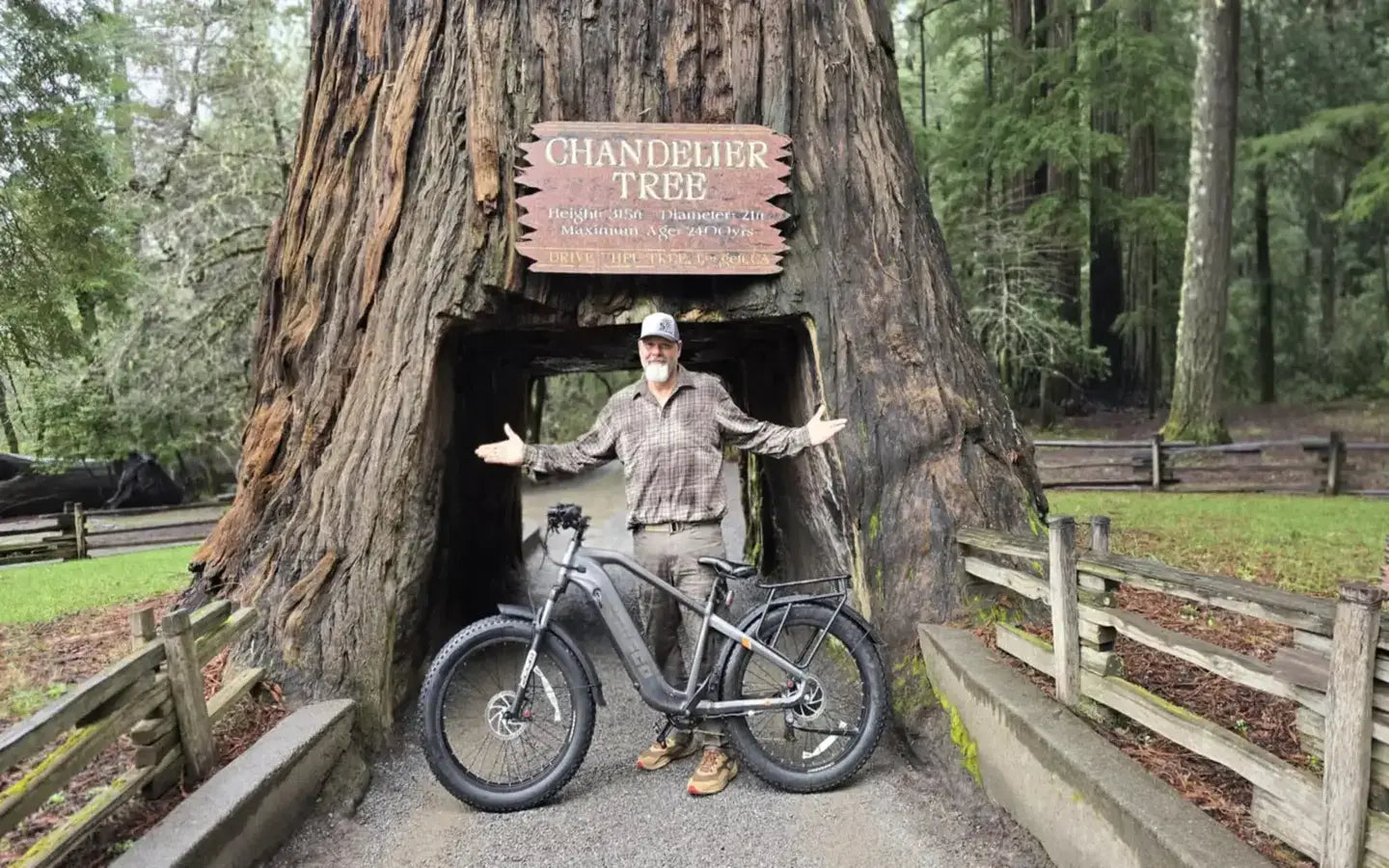 Why Is a Class 2 Electric Bike Ideal for Versatile Riding?