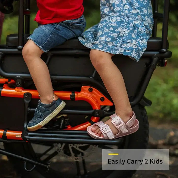 HOVSCO™ HovCart 20“ Step-Thru Electric Fat Tire Cargo Bike