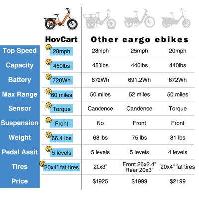 HOVSCO™ HovCart 20“ Step-Thru Electric Fat Tire Cargo Bike