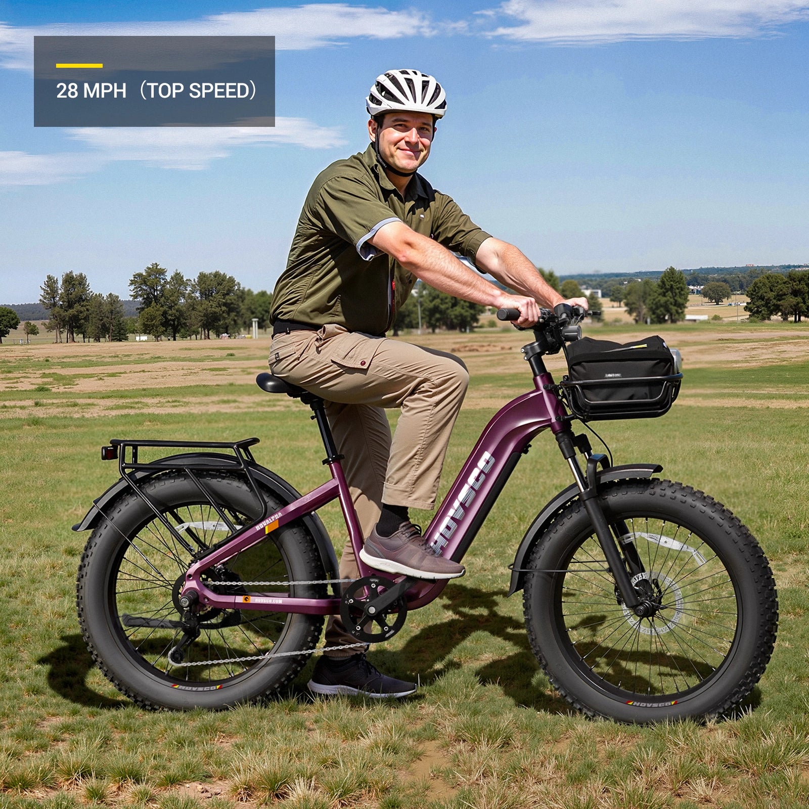 HOVSCO™ HovAlpha 26" Step-Thru Fat Tire Ebike
