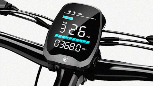 HOVSCO E-Bike LCD Screen