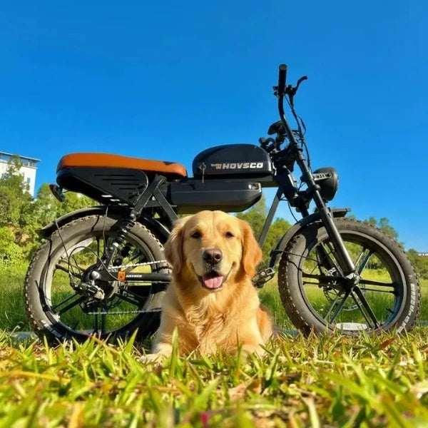 HOVSCO™ HovGtrs 1500W Moped-style Electric Bike