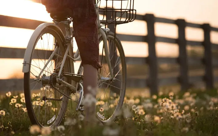 10 Must-Known Facts about Foldable Fat Tire Electric Bike HOVSCO