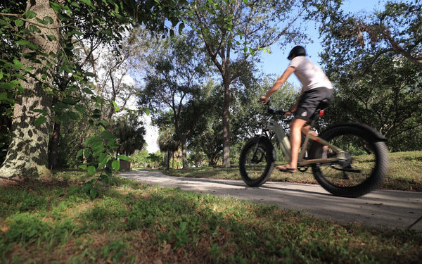 Keep Your E-Bike Running Smoothly: Advanced Battery & Motor Maintenance Tips