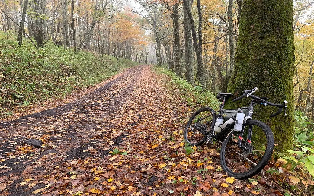 Are There Other Storage Solutions for Ebike? HOVSCO