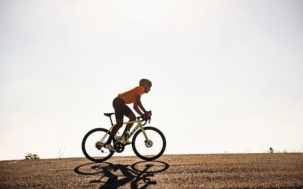 Best Fat Tire Electric Bikes 2022 HOVSCO