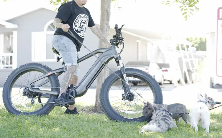 Best Long-Range Electric Bikes That Will Get You Everywhere HOVSCO