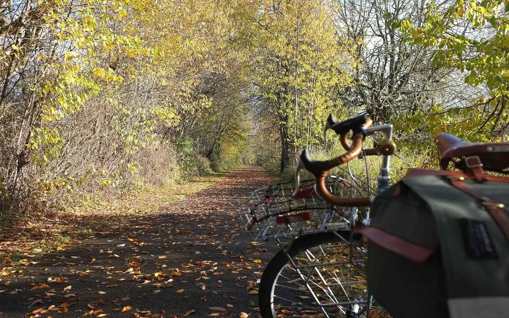 Bike Bags and Bike Racks: How to Choose Them HOVSCO