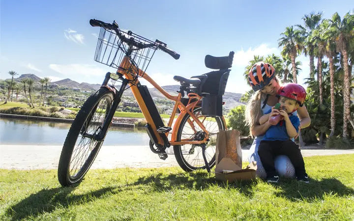 Can We Ride Electric Bike With Dogs? The Ultimate Guide HOVSCO