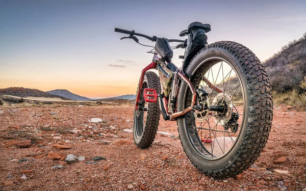 Ebikes: 5 Reasons to Own One