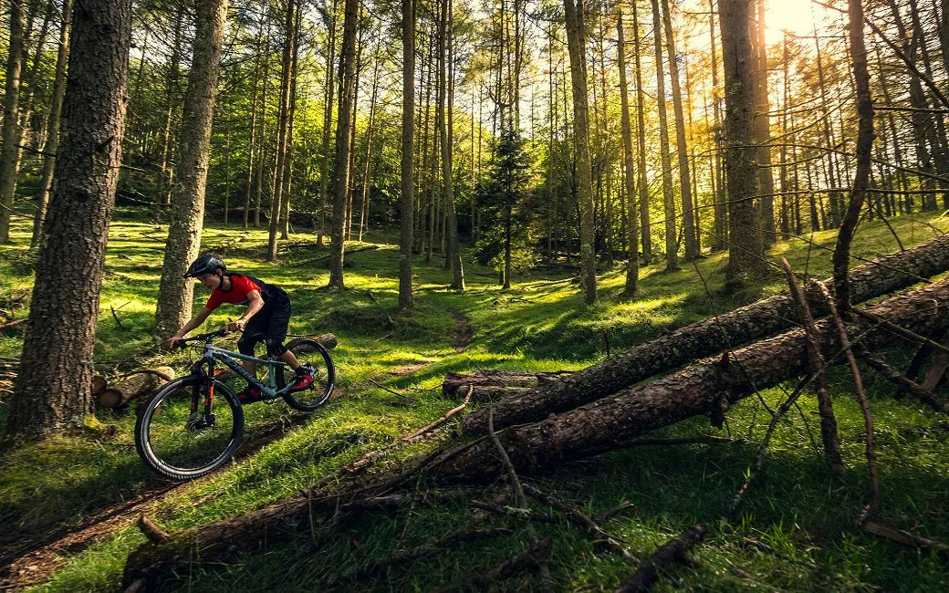 Everything You Need to Know About  E-bike HOVSCO
