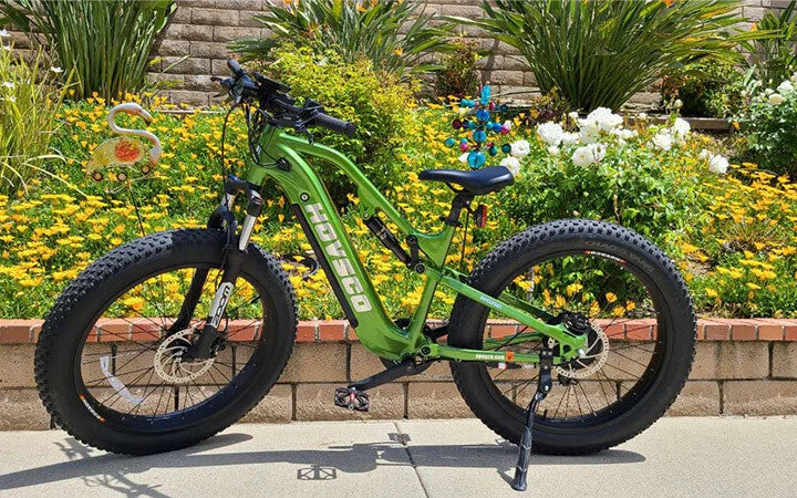 HovScout-in-front-of-flower-beds