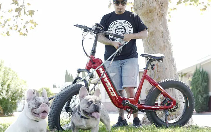 Five Reasons Why You Should Be Thinking About an Electric Fat Tire Bike HOVSCO