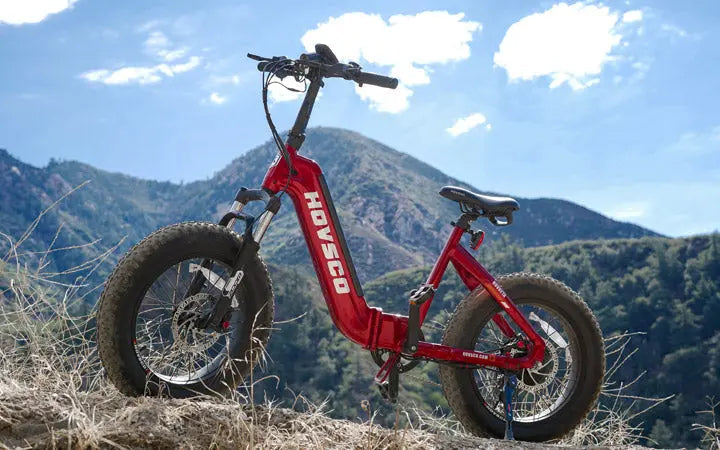 HOVSCO Folding Electric Bike Review HOVSCO