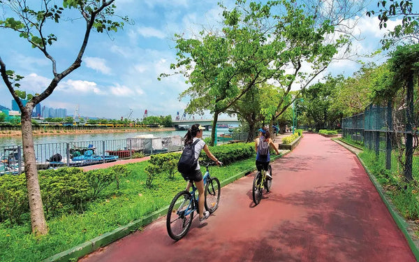 How to Define a Good Electric Bike Incentive Program?