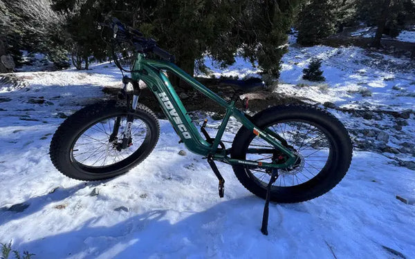 Take a romantic spring ride with your lover