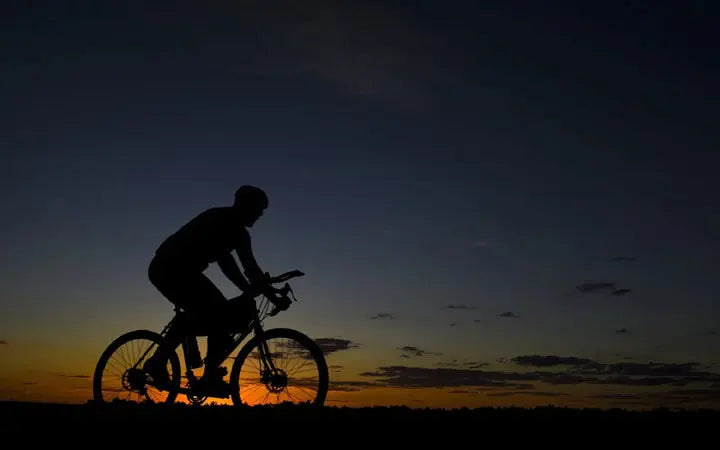 The 5 Best Electric Bikes for Sale Today HOVSCO