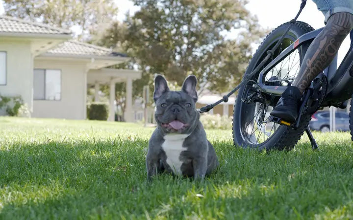 The Best Electric Bike Manufacturers and Brands HOVSCO