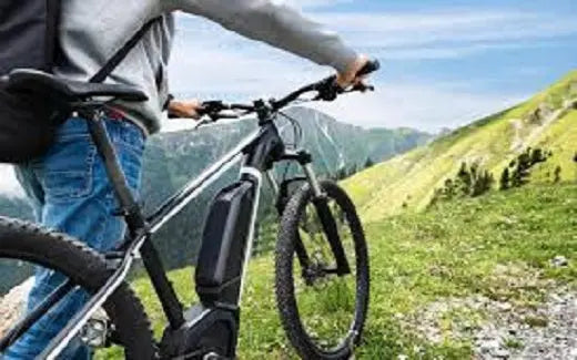 The Best Ways to Ride an Electric Bike with Children