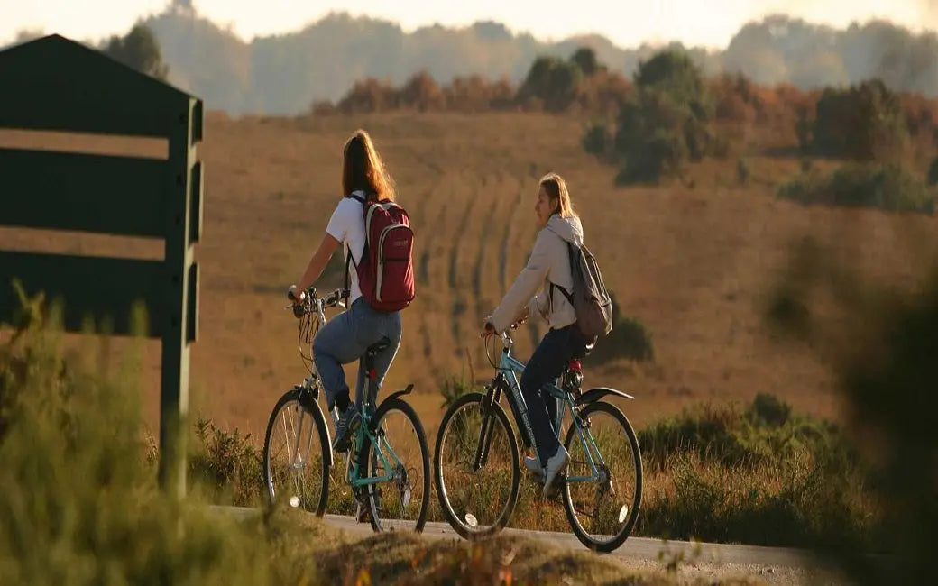 Tips on Riding a Cargo Bike HOVSCO