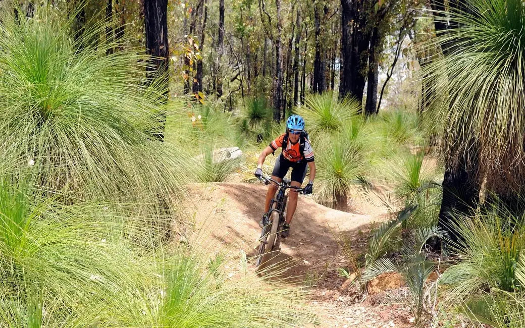 Using the E-bike Tax Credit: What Does It Mean? HOVSCO