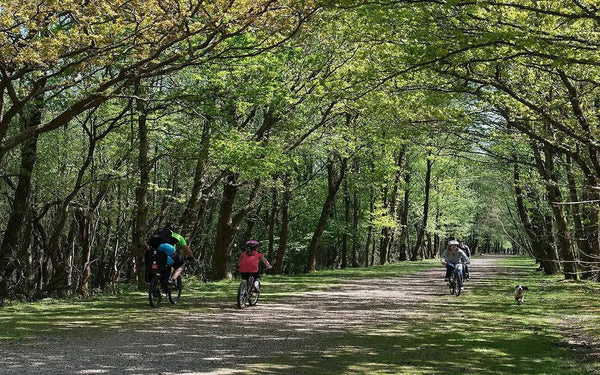 How Can You Ride More Electric Bikes? Here’s How.