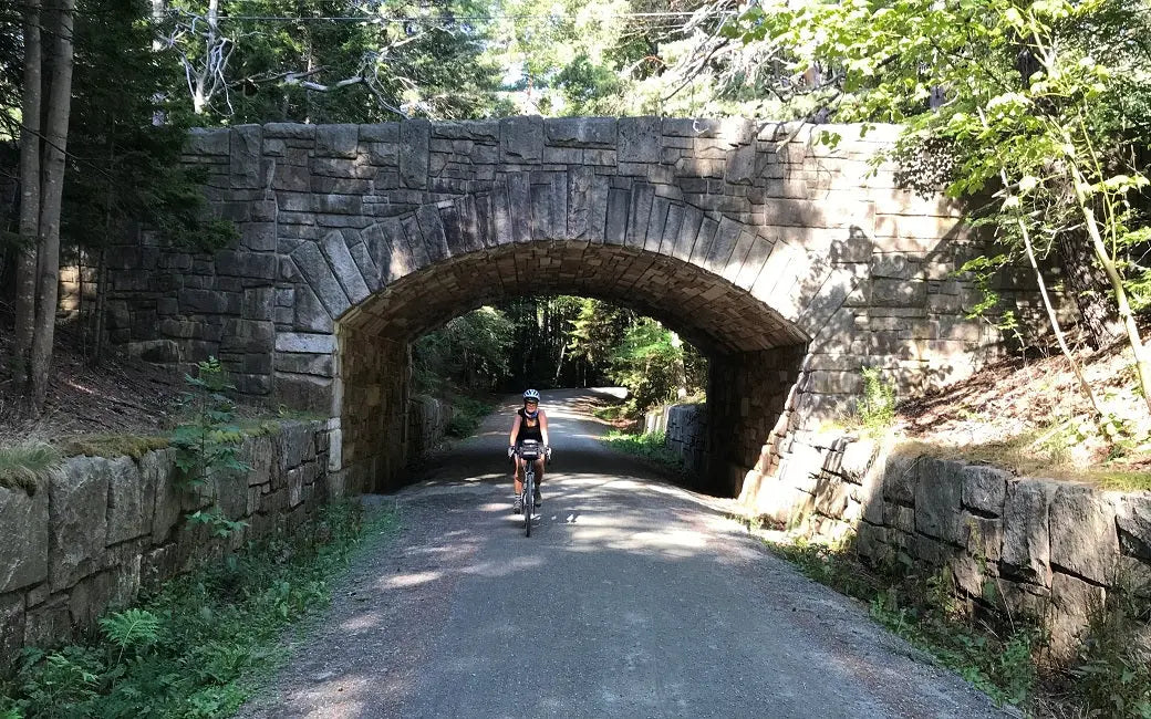 What Are Specialized Electric Bikes ? HOVSCO