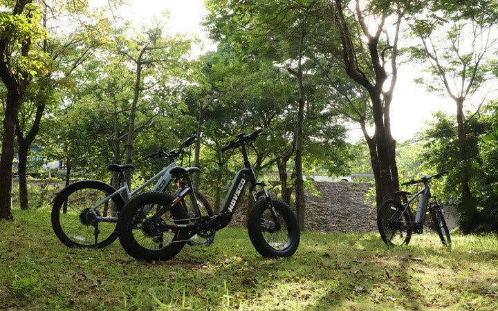 Three-hovsco-ebikes