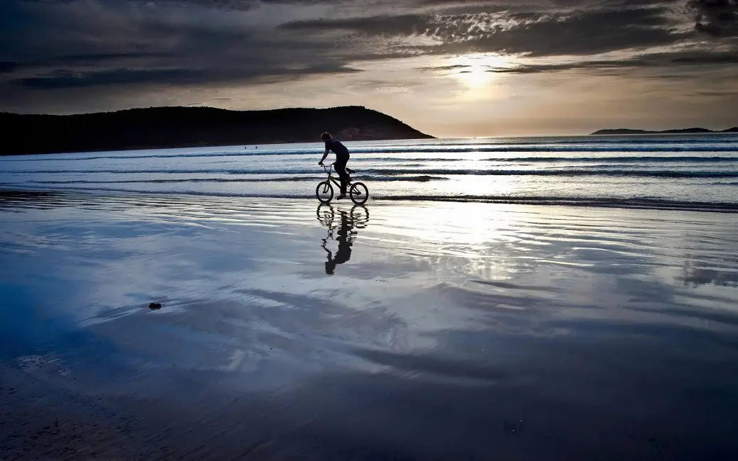 What is the Purpose of an Electric Bike Fender? HOVSCO