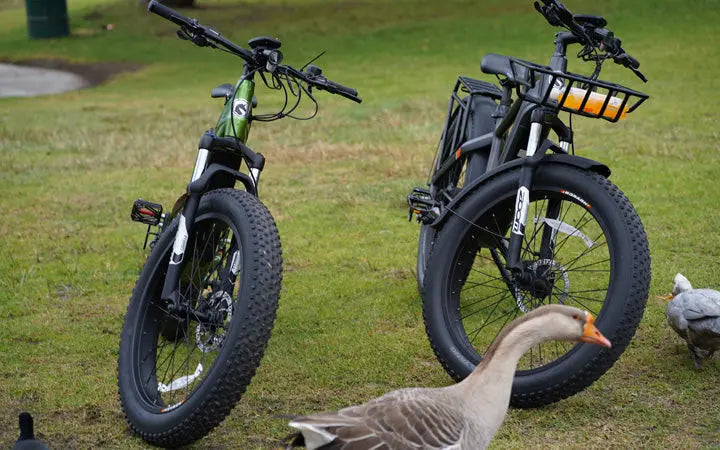 What's the Best E-Bike Throttle for Your Needs? HOVSCO
