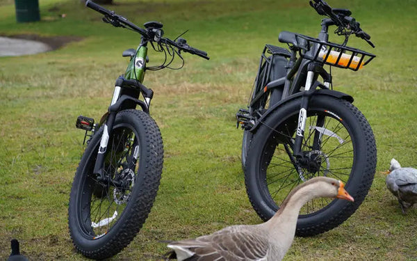 What’s the Best E-Bike Throttle for Your Needs?