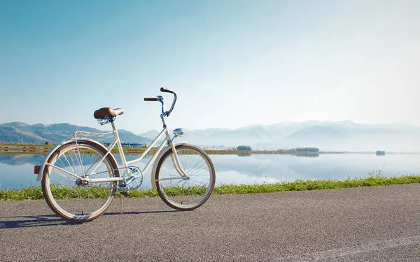 Which Step-Through E-Bike Is Best For You?