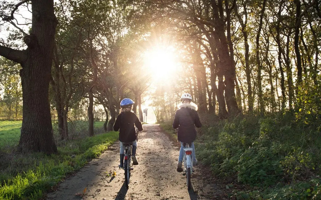 Whom is a Step-Through Ebike for? HOVSCO