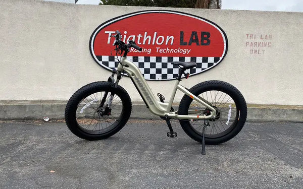 Why You Should Buy an E-Bike Rather than Build One Yourself ?