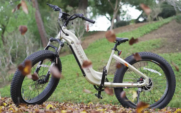 Why eBiking Is the Perfect Workout for Any Goal or Ability Level?