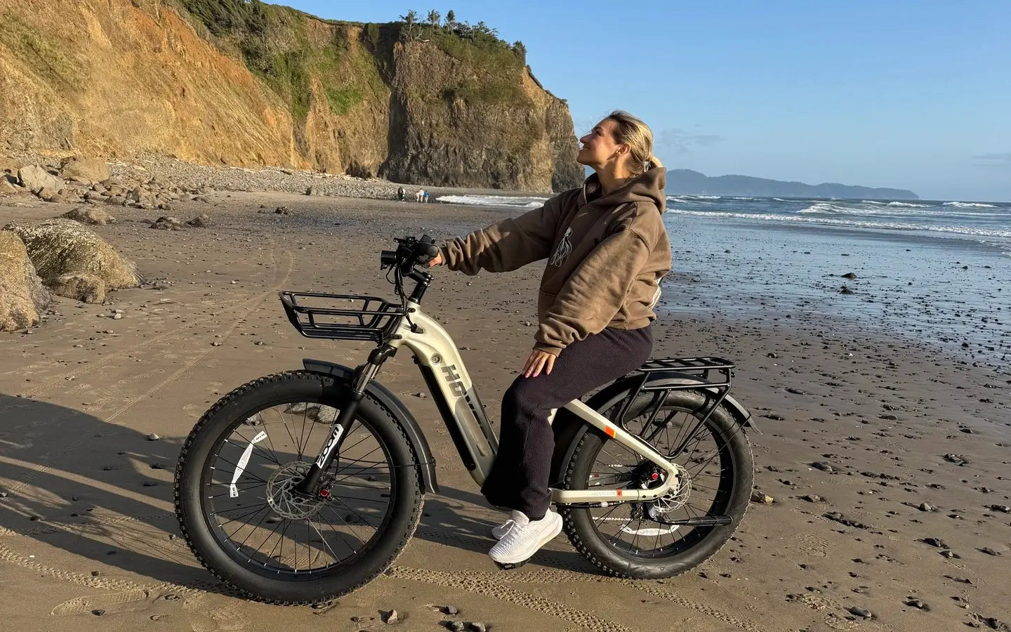 How Does an Ebike Cargo Model Differ from Others?