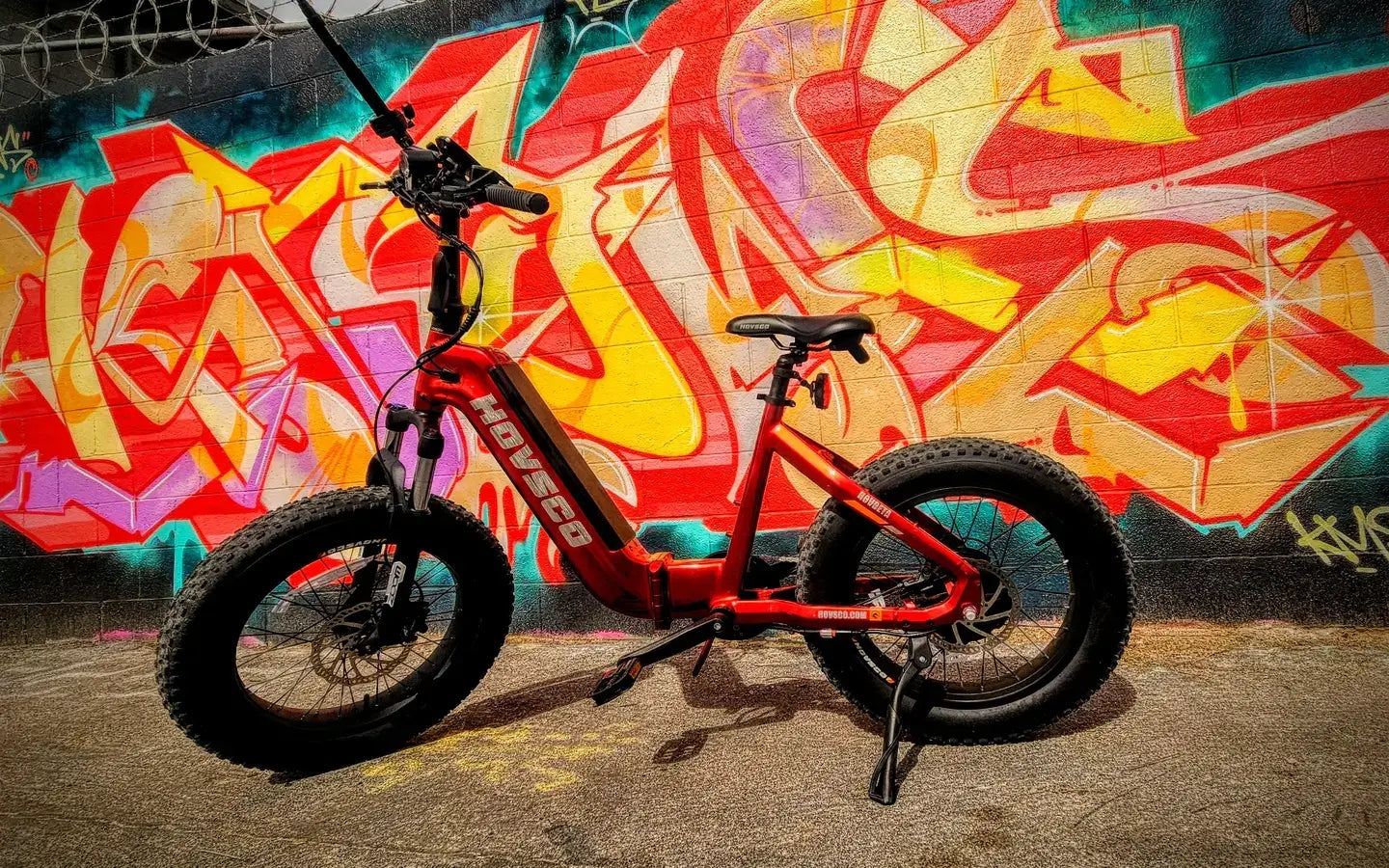 How to Choose the Best Electric Bike Charger? A Complete Guide