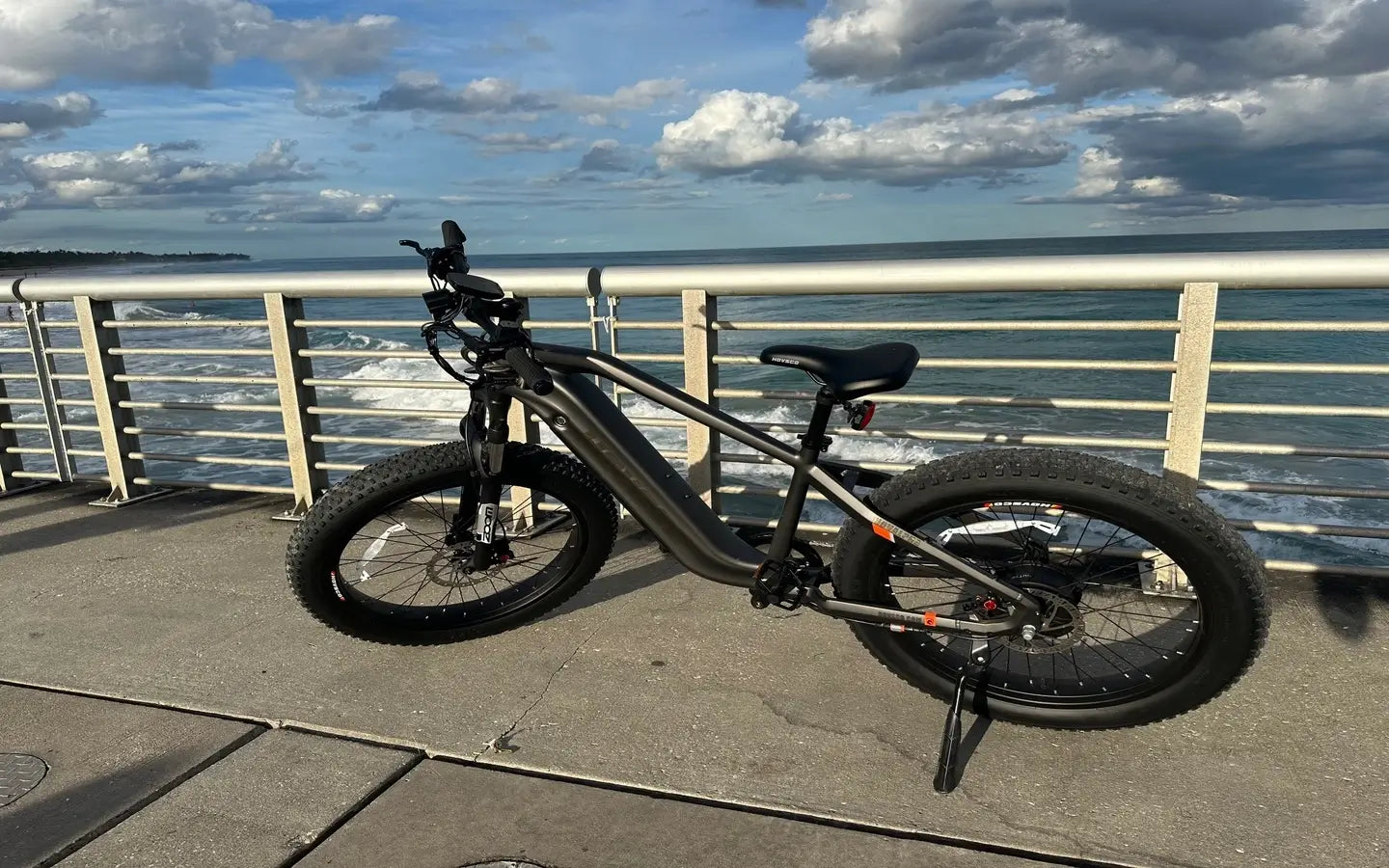 What Are Affordable Two-Person Electric Bikes With High Weight Capacity