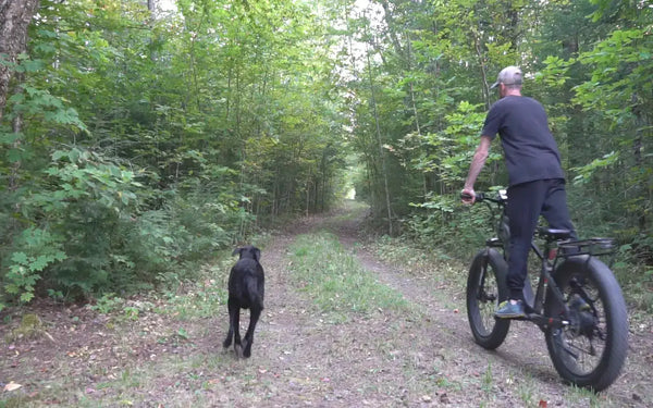 What Are the Best Affordable Electric Bikes Under $2000 for City Riding?
