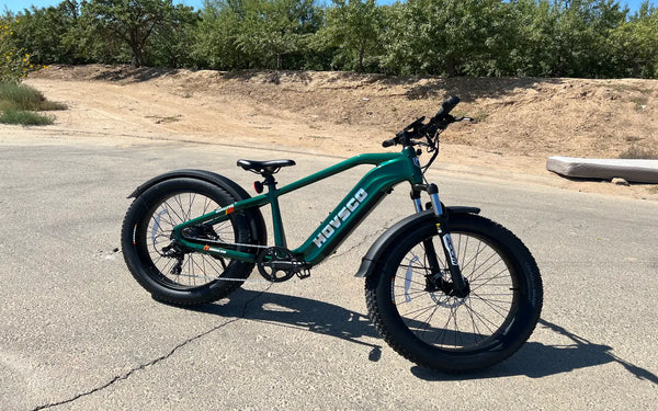 What Are The Best Eco-Friendly Electric Cargo Bikes?