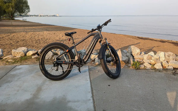 What Benefits Do Cargo Ebikes Provide Urban Delivery Services?