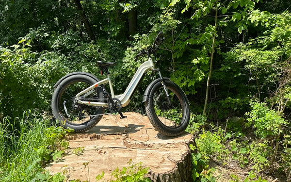 What Commuting Solutions Do Cargo E-Bikes Offer Urban Families?
