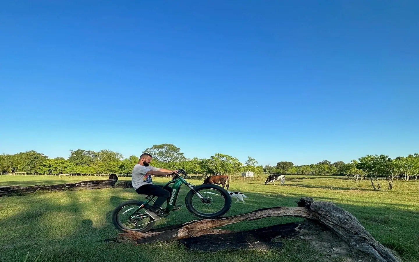 Which Electric Cargo Bikes Optimize Urban Delivery Efficiency