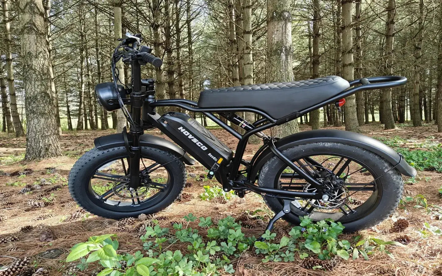 Why is the Motor Goat V3 a Top Choice for High-Performance Electric Bikes?
