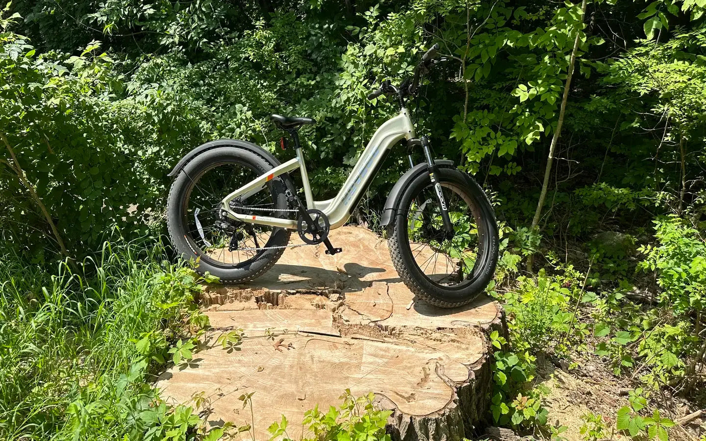 Why Is the Safety of Electric Cargo Bike Rear Seats Important?