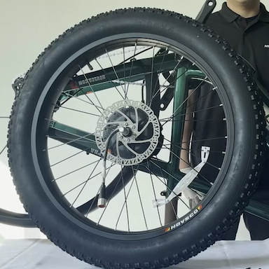 HovAlpha-Rear Wheel Motor