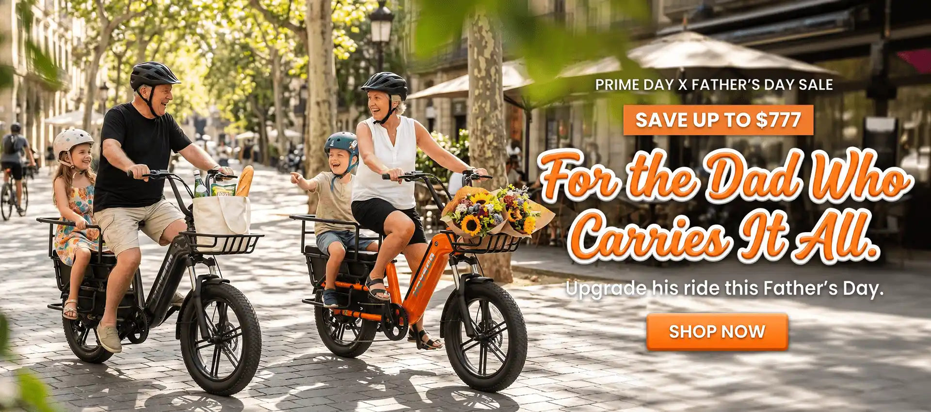 HOVSCO HovAlpha 26 inch Step Thru Fat Tire Electric Beach Bike