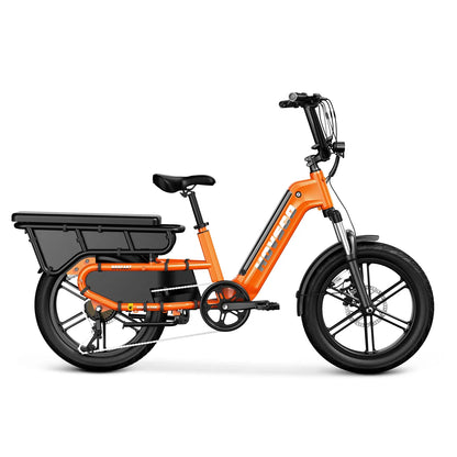 HOVSCO™ HovCart 20“ Step-Thru Electric Fat Tire Cargo Bike