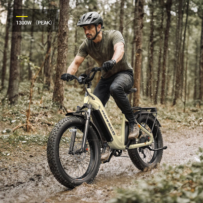 HOVSCO™ HovAlpha 26" Step-Thru Fat Tire Ebike