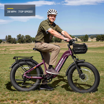 HOVSCO™ HovAlpha 26" Step-Thru Fat Tire Ebike